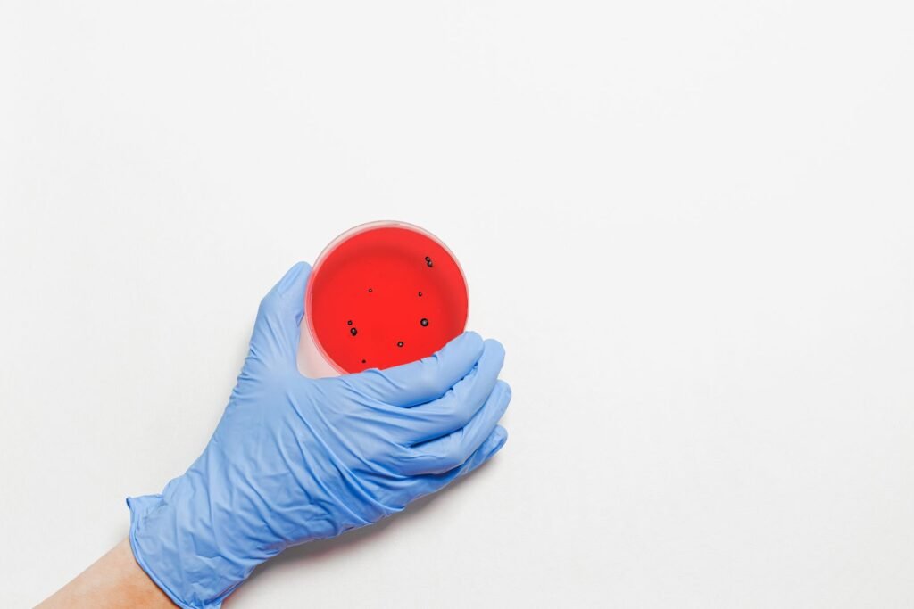 Gloved hand holding a petri dish with bacterial culture